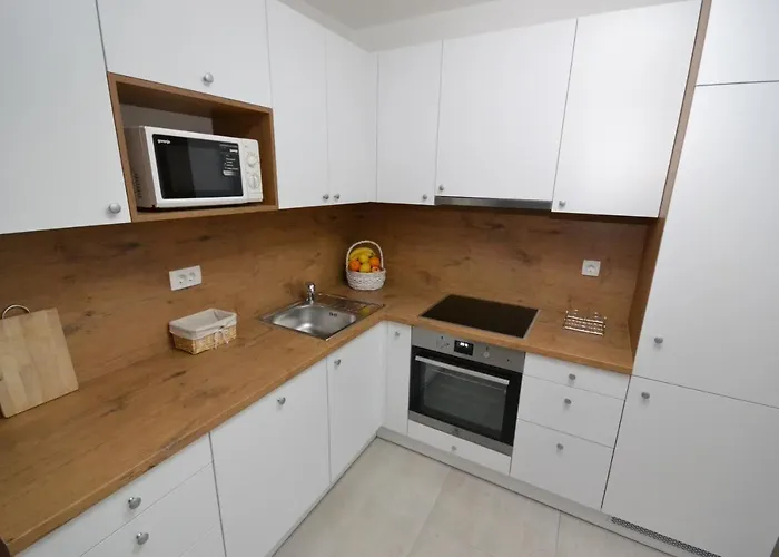 Luxury Apartment 